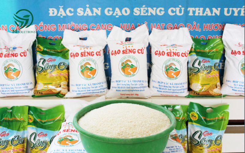 Gạo Séng Cù Lai Châu - OCOP 3 Sao