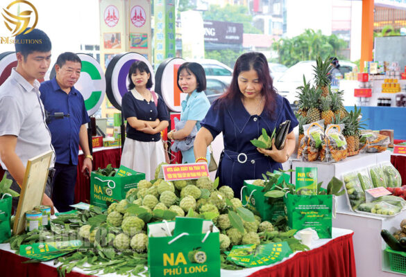 Giay chung nhan OCOP Cam ket chat luong bao ve nguoi tieu dung 1 3DMSolutions