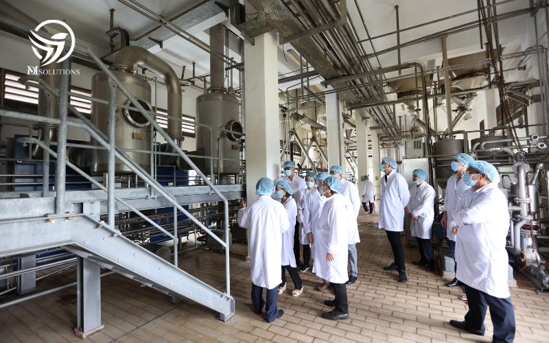 Quy Trình Sản Xuất Khép Kín